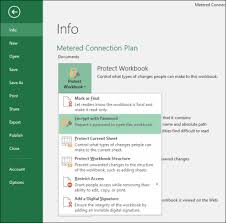 how to put password on excel file | Password Protect | Protect MS Excel