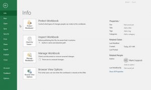 how to put password on excel file | Password Protect | Protect MS Excel