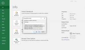 how to put password on excel file | Password Protect | Protect MS Excel