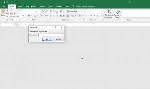 how to put password on excel file | Password Protect | Protect MS Excel