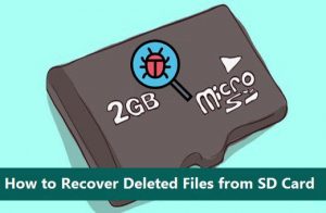 How to Recover Deleted Files from SD Card | SD Card Tips | Recover Deleted Data | PC Tips
