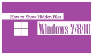 Show Hidden Files | Show Hidden Files Windows 10 | Show Files